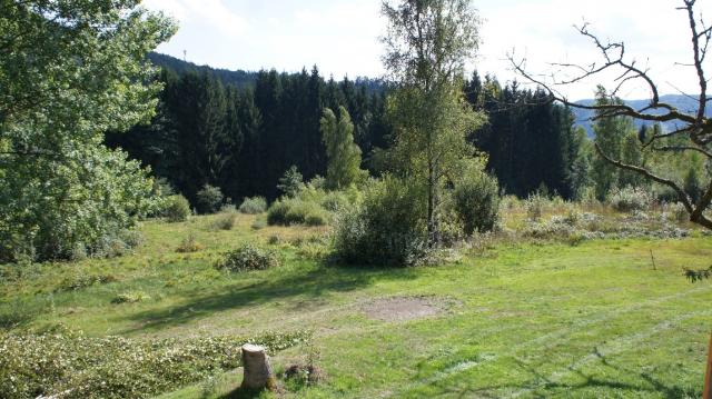 Photos for house 642287