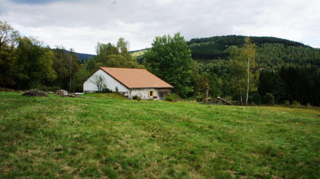 Photos for house 642287