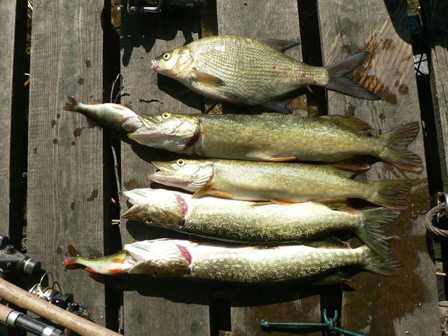 Photos for house 642291