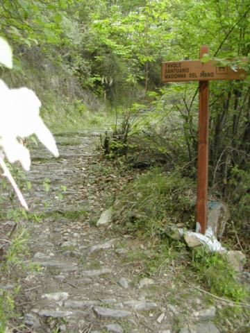 Photos for house 642299