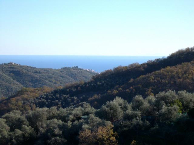 Photos for house 642299