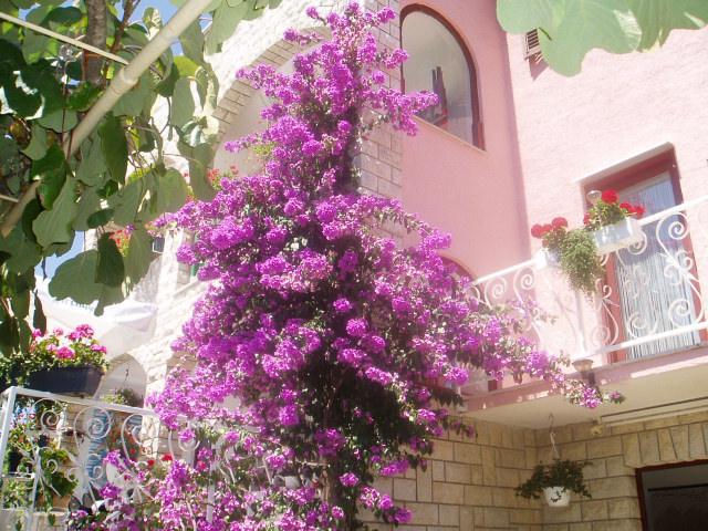 Photos for house 642307