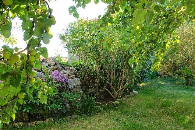 Photos for house 642308