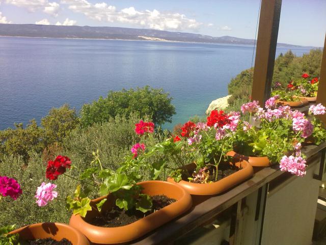 Photos for house 642309