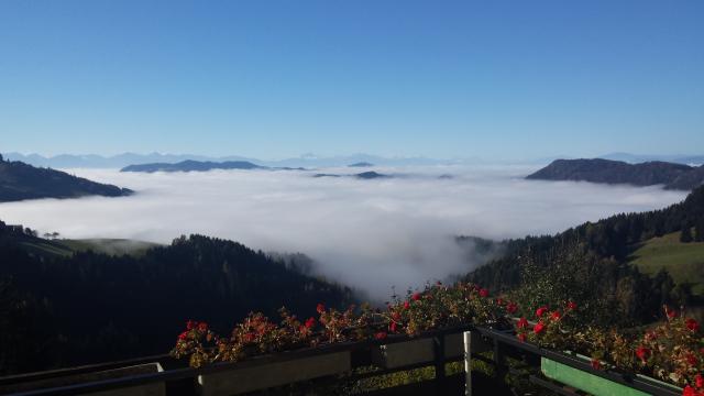 Photos for house 642315