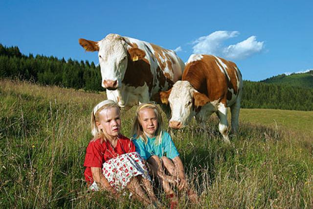 Photos for house 642315