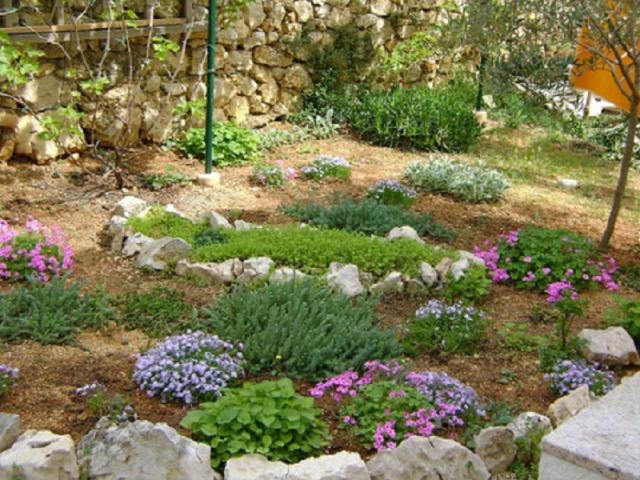 Photos for house 642333