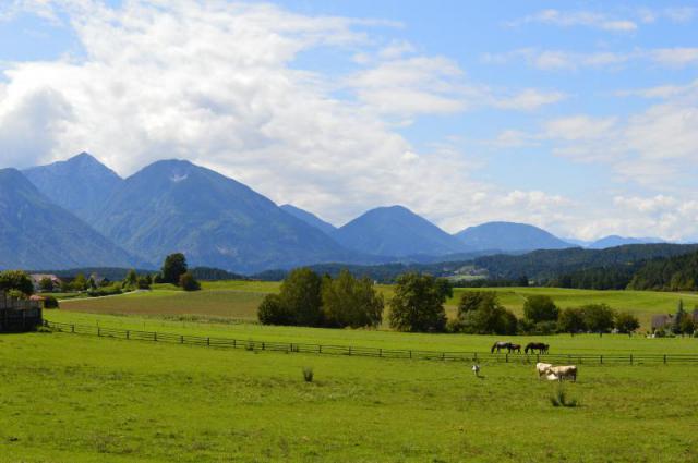 Photos for house 642340