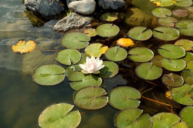 Photos for house 642355