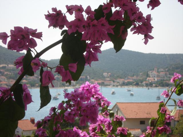 Photos for house 642368