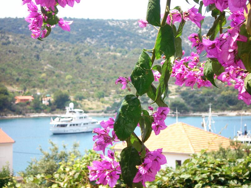 Photos for house 642368