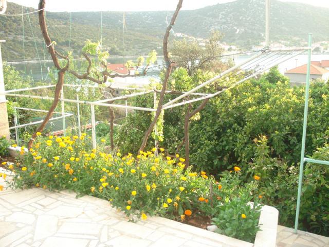 Photos for house 642368