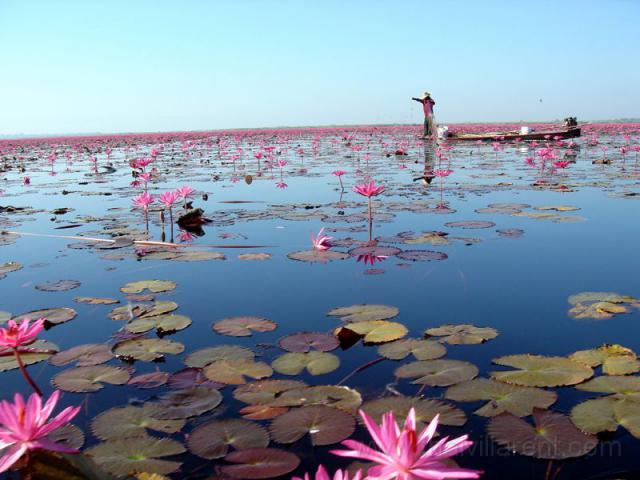 Photos for house 642371