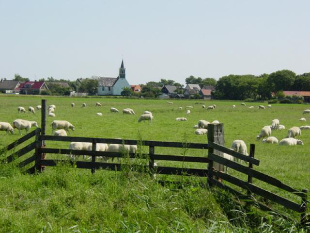 Photos for house 642376