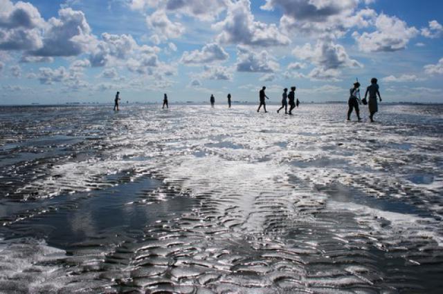 Photos for house 642376