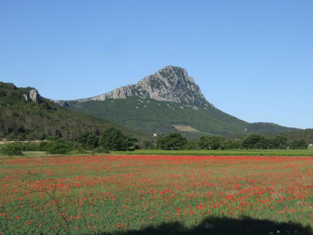 Photos for house 642379