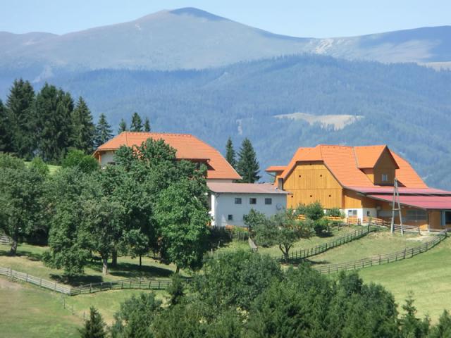 Photos for house 642389