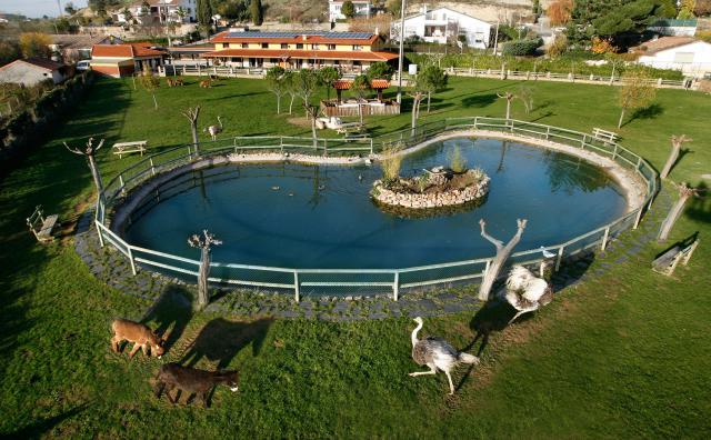 Photos for house 642397