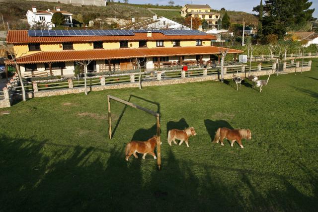 Photos for house 642397