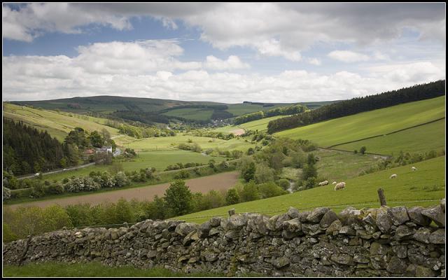 Photos for house 642400