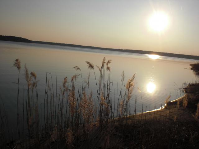 Photos for house 642403