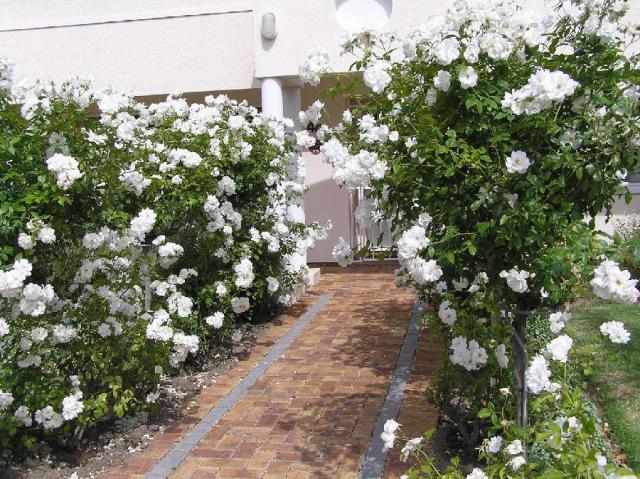 Photos for house 642413