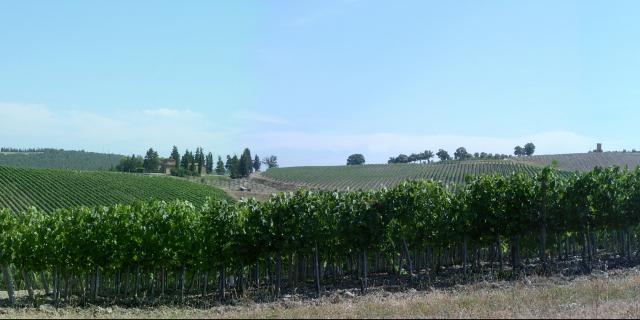 Photos for house 642423