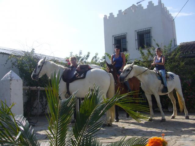 Photos for house 642425