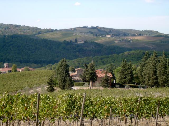 Photos for house 642427