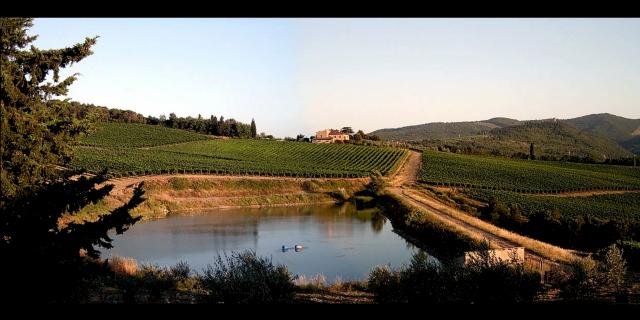 Photos for house 642438