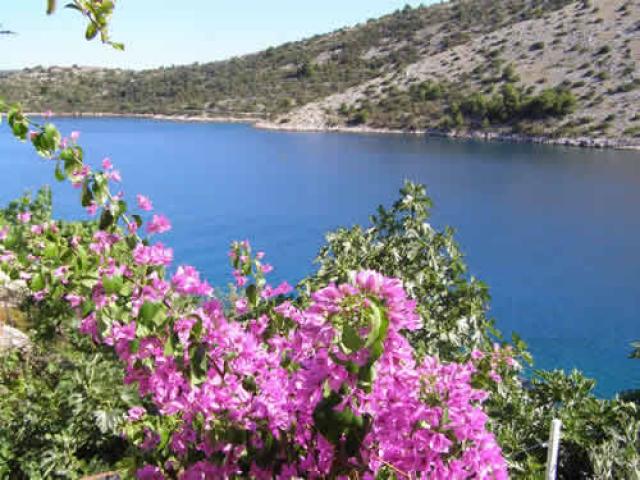 Photos for house 642443