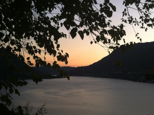 Photos for house 642447