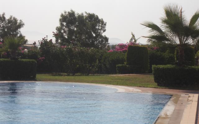 Photos for house 642449