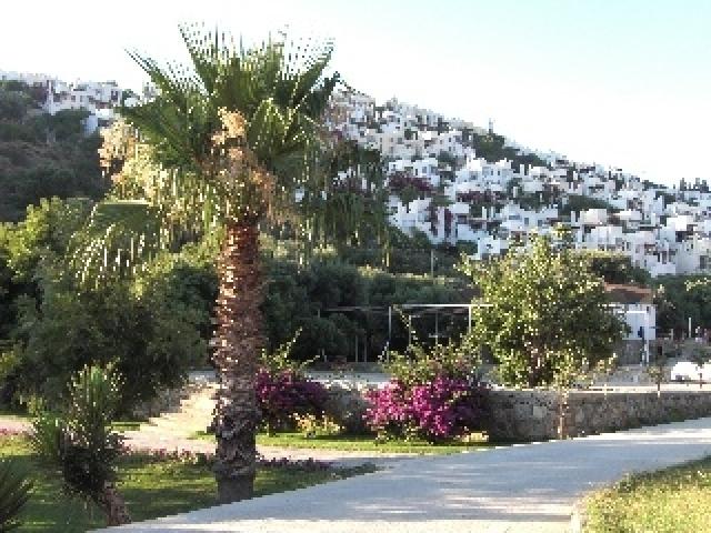 Photos for house 642451