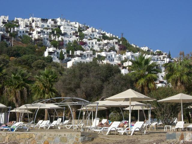 Photos for house 642451