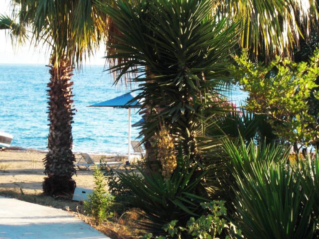 Photos for house 642451