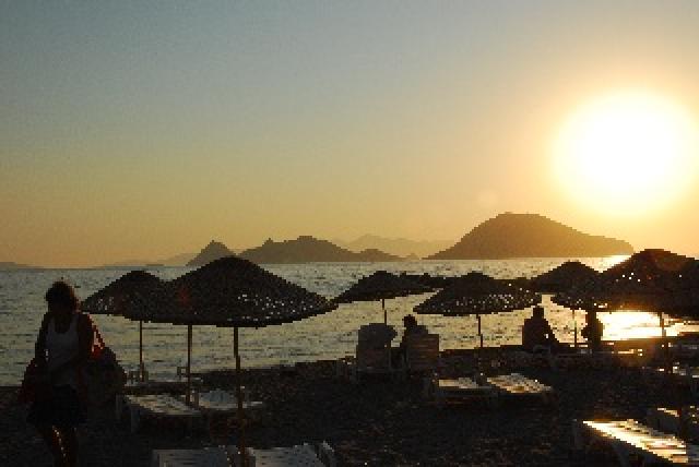 Photos for house 642451