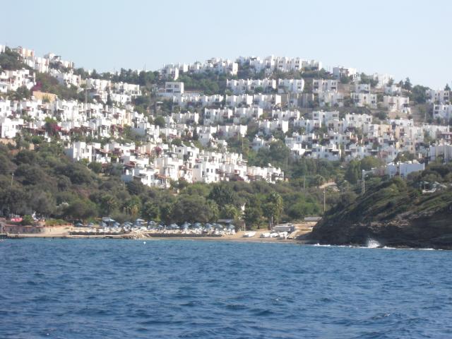 Photos for house 642451