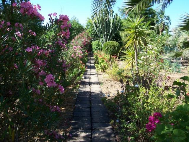 Photos for house 642453