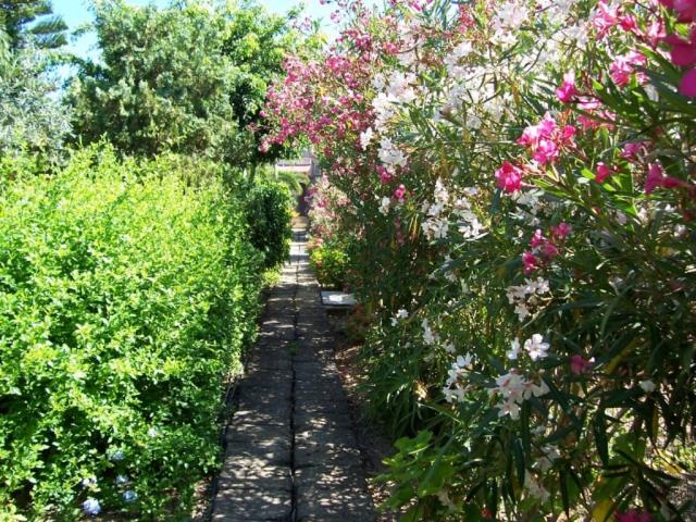 Photos for house 642453