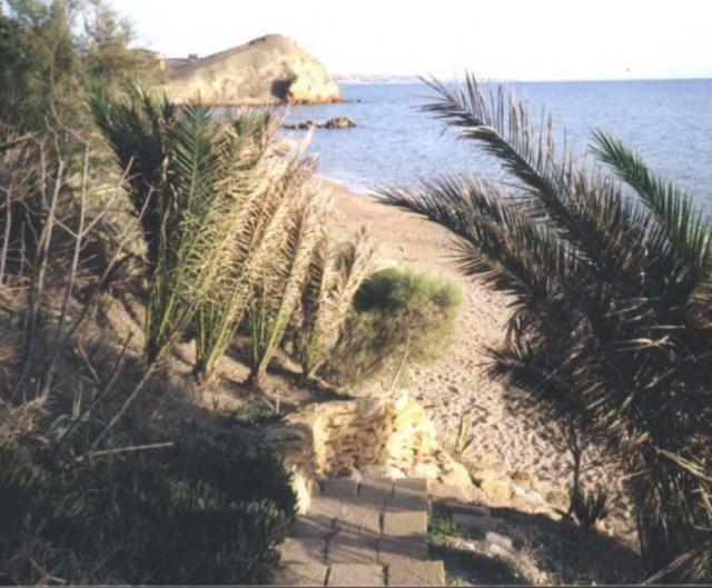 Photos for house 642453