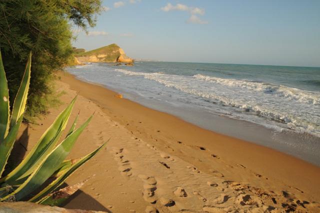 Photos for house 642453