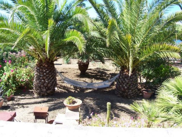 Photos for house 642453