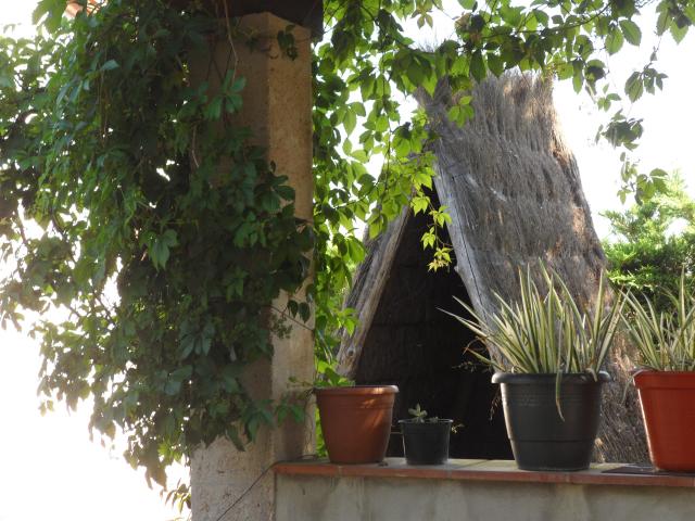 Photos for house 642455