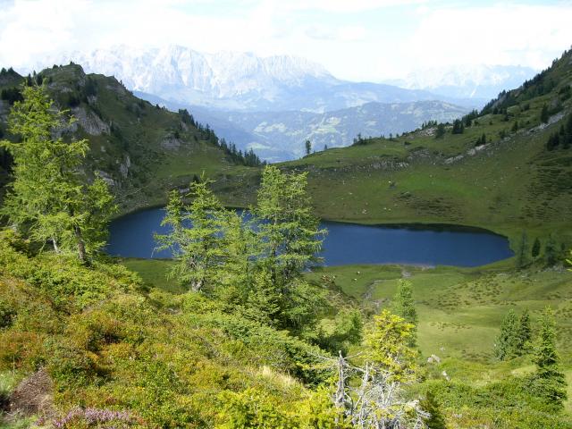 Photos for house 642463