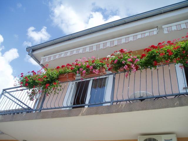 Photos for house 642470