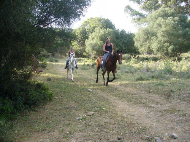 Photos for house 642475