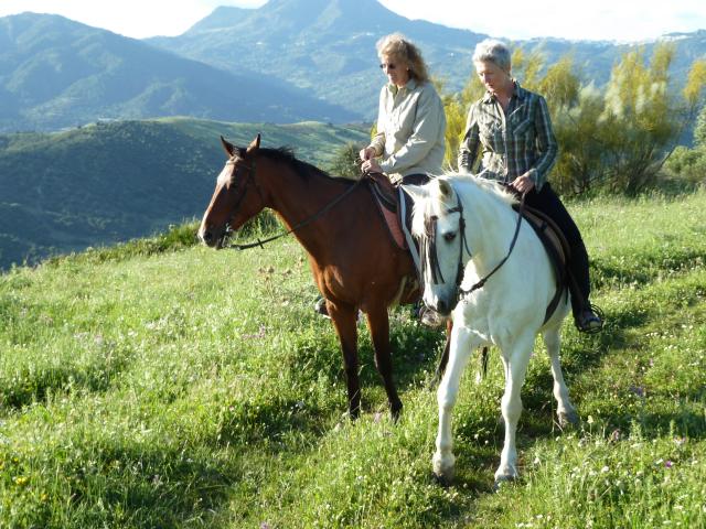 Photos for house 642475