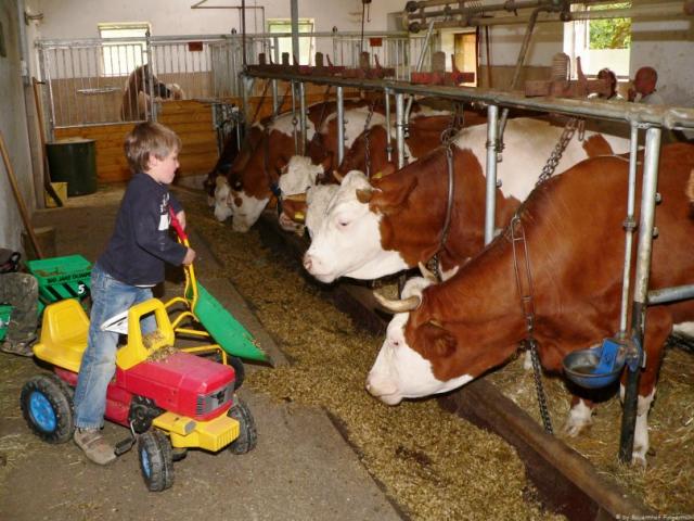 Photos for house 642481