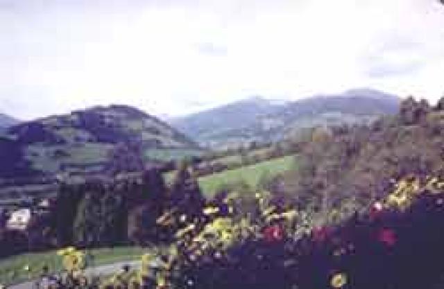 Photos for house 642496